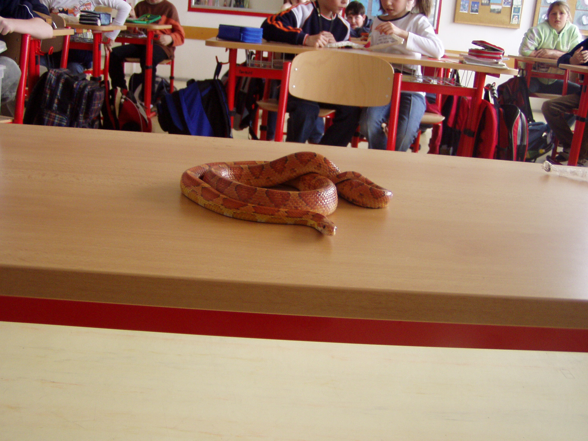 P4110025.JPG